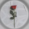 user27708069196561