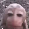 ghxrrrzkjo