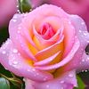 mst.rubina.khatun57