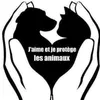 angiewww8