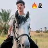 ali8525835