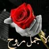 user5873833115224