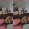 xeintrn