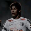 neydav_11