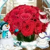 lina.alami88