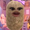 traaaa005