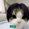 user1538203908262