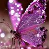 aishhh875