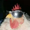 davizinho892