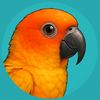 parrot_shopua