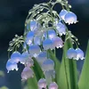 gwendy504