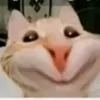 iduddkccwr8