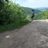 ellagr17