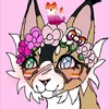 cat_lovermeow12