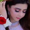 zina.aqeel6