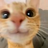 player1.2.5
