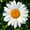danielle_s11
