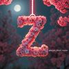 zainabhassan.15