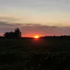 user_15062012
