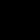 _baya13