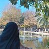 yasminyasmin12358