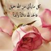 nour.houd87