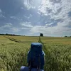 totallyfilip