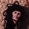 brainrotted596
