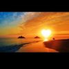 mourad.benaoula