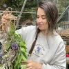 Louise’s Kitchen Garden