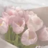 ann_lkhv