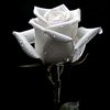 user_00h22