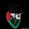 aishasobhy5