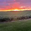 natalie_glander25