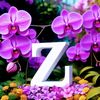 zainab.wello