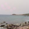 riyadriyad6162