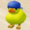 ammar_3216