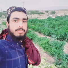 user1577141997063