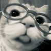 chocoberrys_04