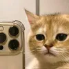 potato....kyut18