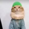 baha_282