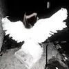pickmyxa15