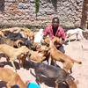 center animal rescue
