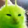 j_.juliaa2