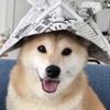 antikultspawnarblx