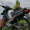 zarekx5