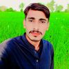 usmanbharwana15