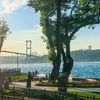 emili_tir