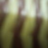 user45635806003062