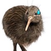 backupkiwi.meh